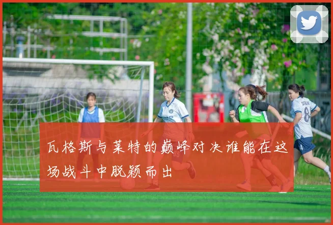 瓦格斯与莱特的巅峰对决谁能在这场战斗中脱颖而出