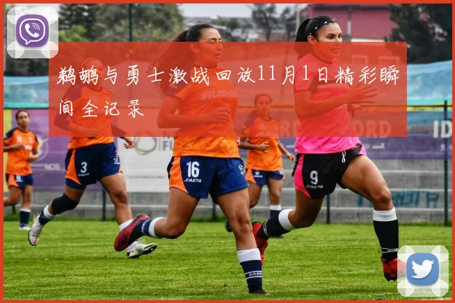 鹈鹕与勇士激战回放11月1日精彩瞬间全记录