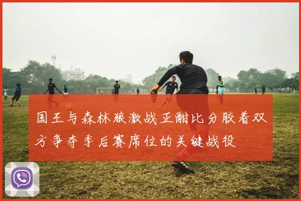 国王与森林狼激战正酣比分胶着双方争夺季后赛席位的关键战役