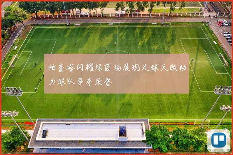 帕奎塔闪耀绿茵场展现足球天赋助力球队争夺荣誉